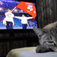 VYACHESLAV OSELEDKO/AFP/Getty Images